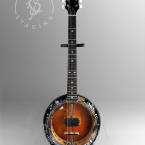 Gold Tone GT-500 6-String Gold Banjitar