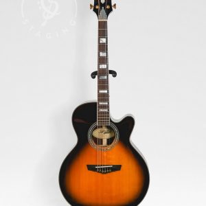 D'Angelico Gramercy Burst Acoustic Guitar