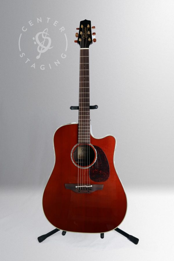 Takamine TAN15BS Natural Acoustic Guitar