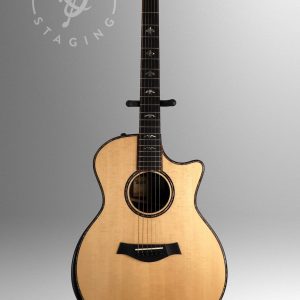 Taylor 914ce Natural Acoustic Guitar