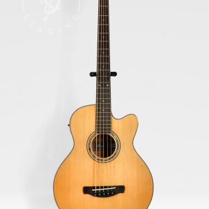Ibanez AEB105 5-String Natural Acoustic Bass