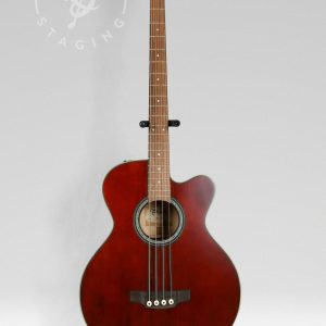 Takamine PBS ANS Natural Acoustic Bass