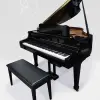 Roland RG-7 Digital Grand Piano
