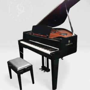 Yamaha N3 AvantGrand Piano &ndash; Polished Ebony (029)